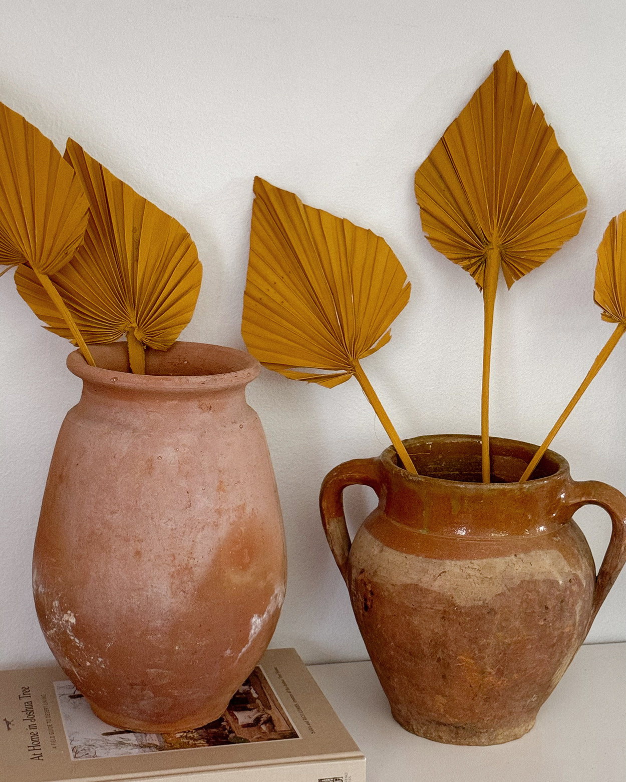 Burnt Orange Dried Palm Spears