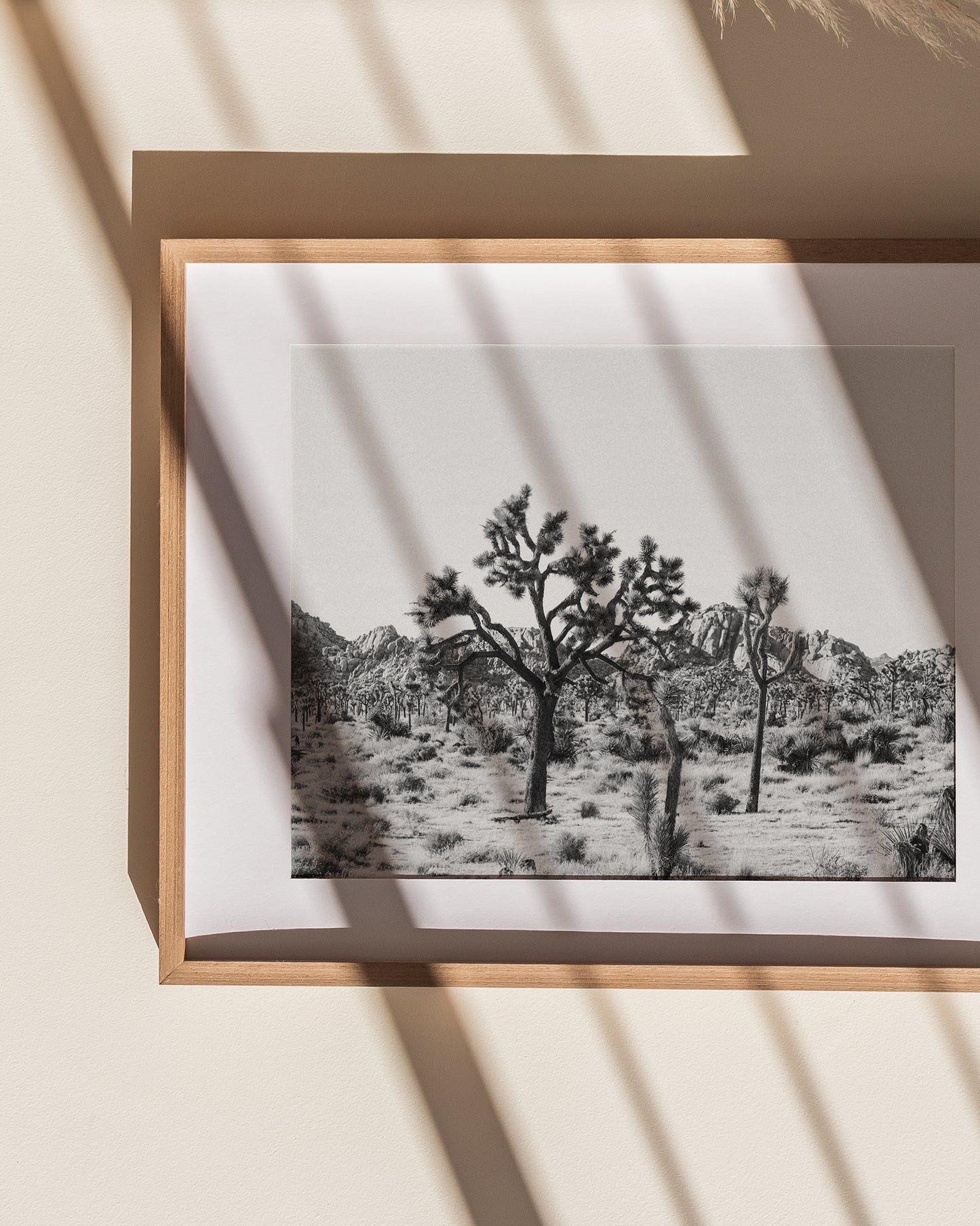Joshua Tree Horizontal Print