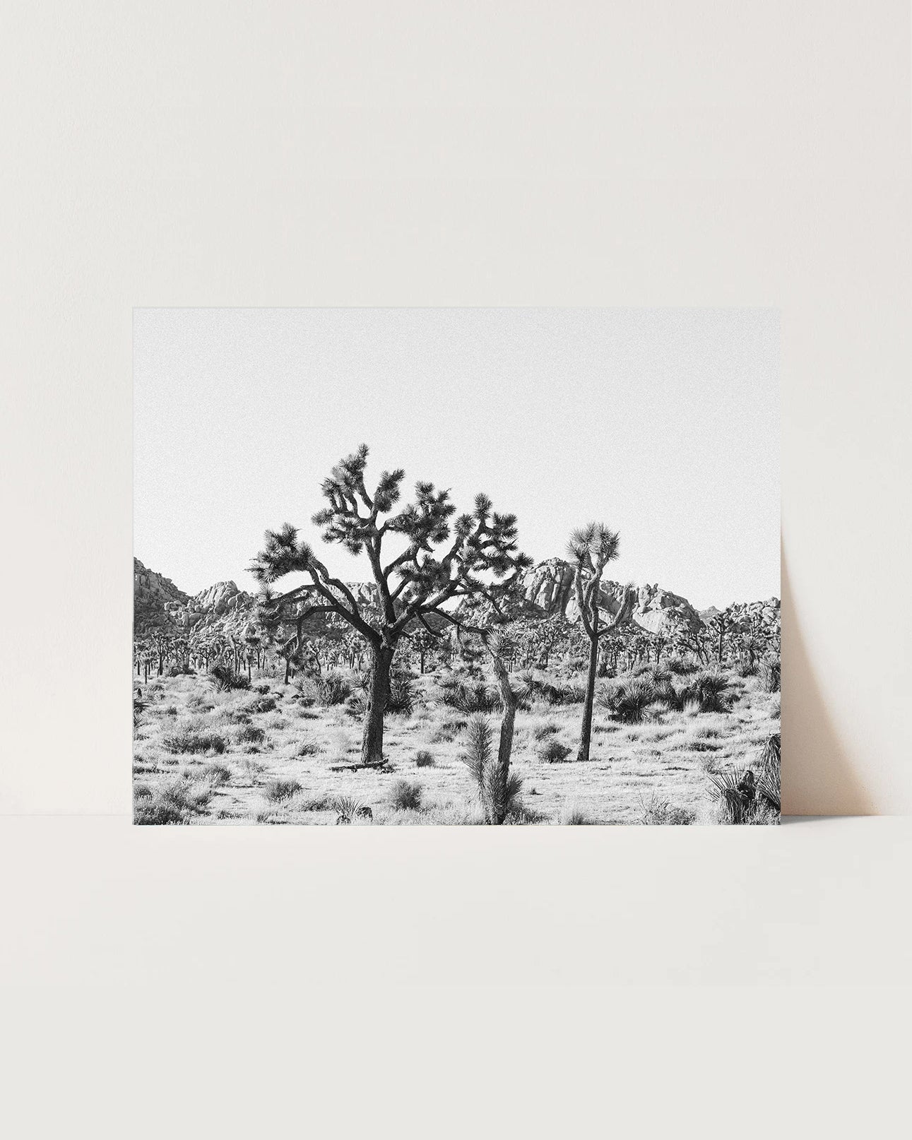 Joshua Tree Horizontal Print