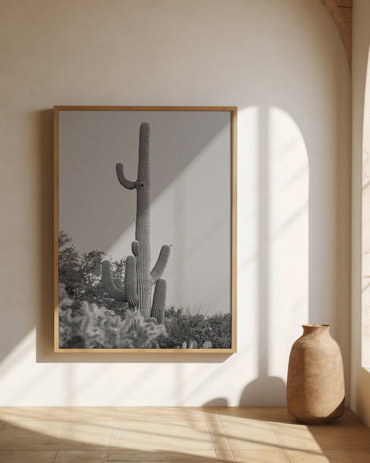 Saguaro Print #3