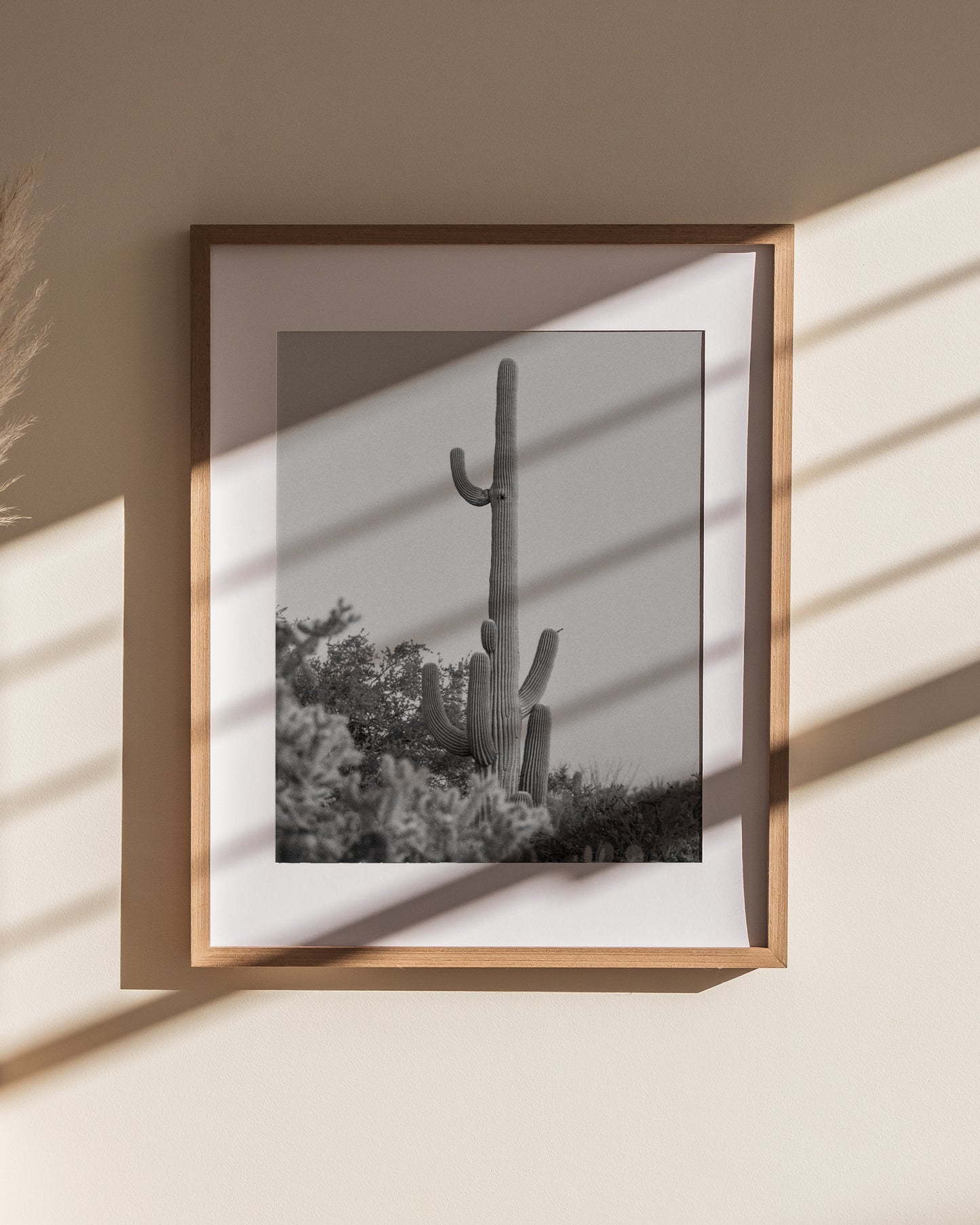 Saguaro Print #3