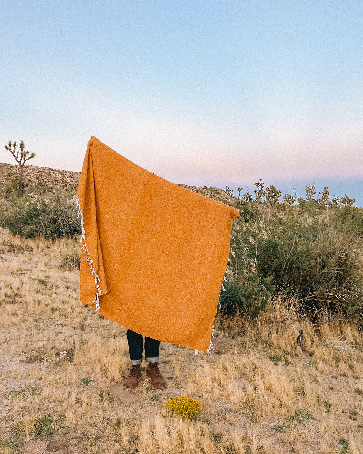 Solid Gold Mexican Blanket