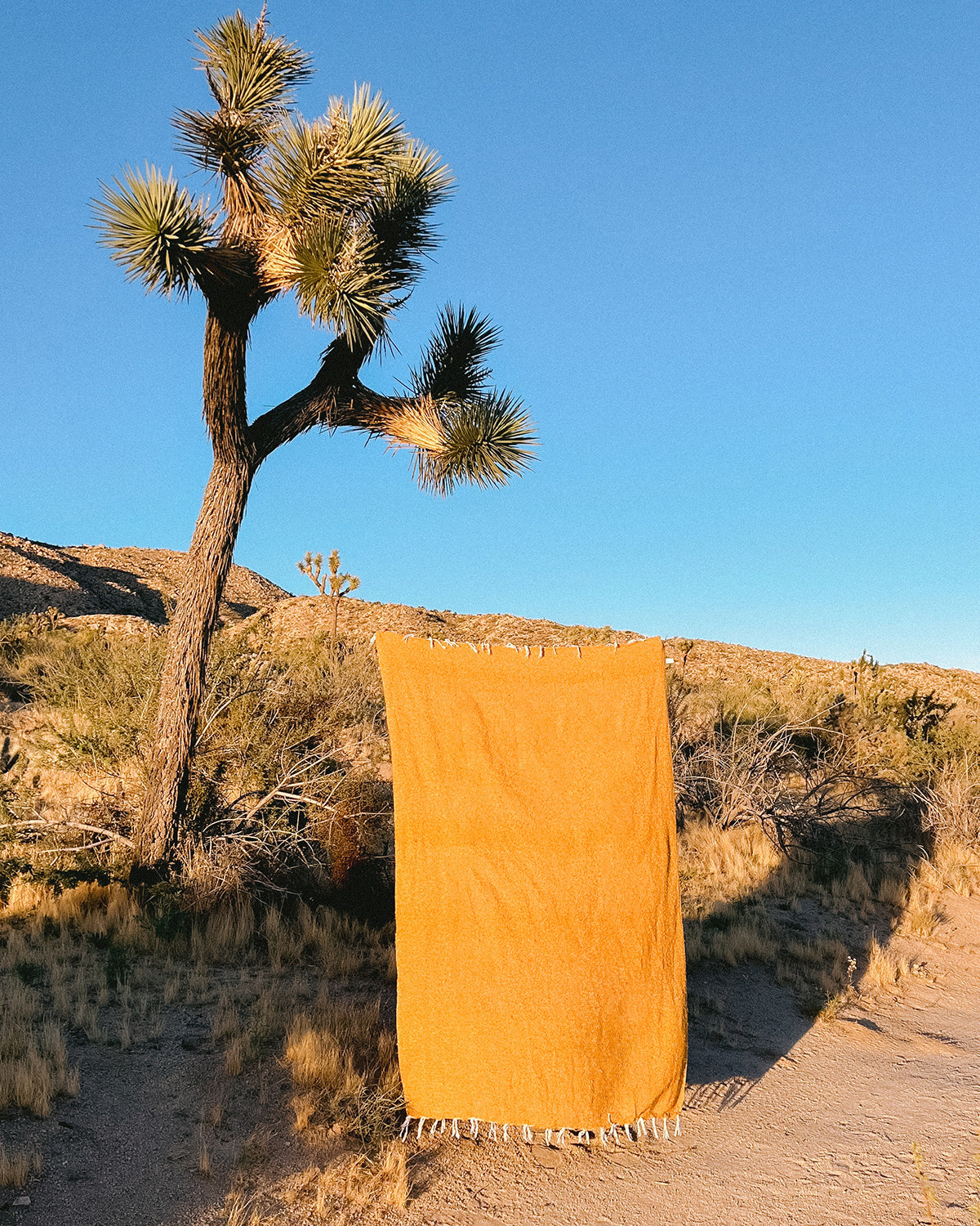 Solid Gold Mexican Blanket