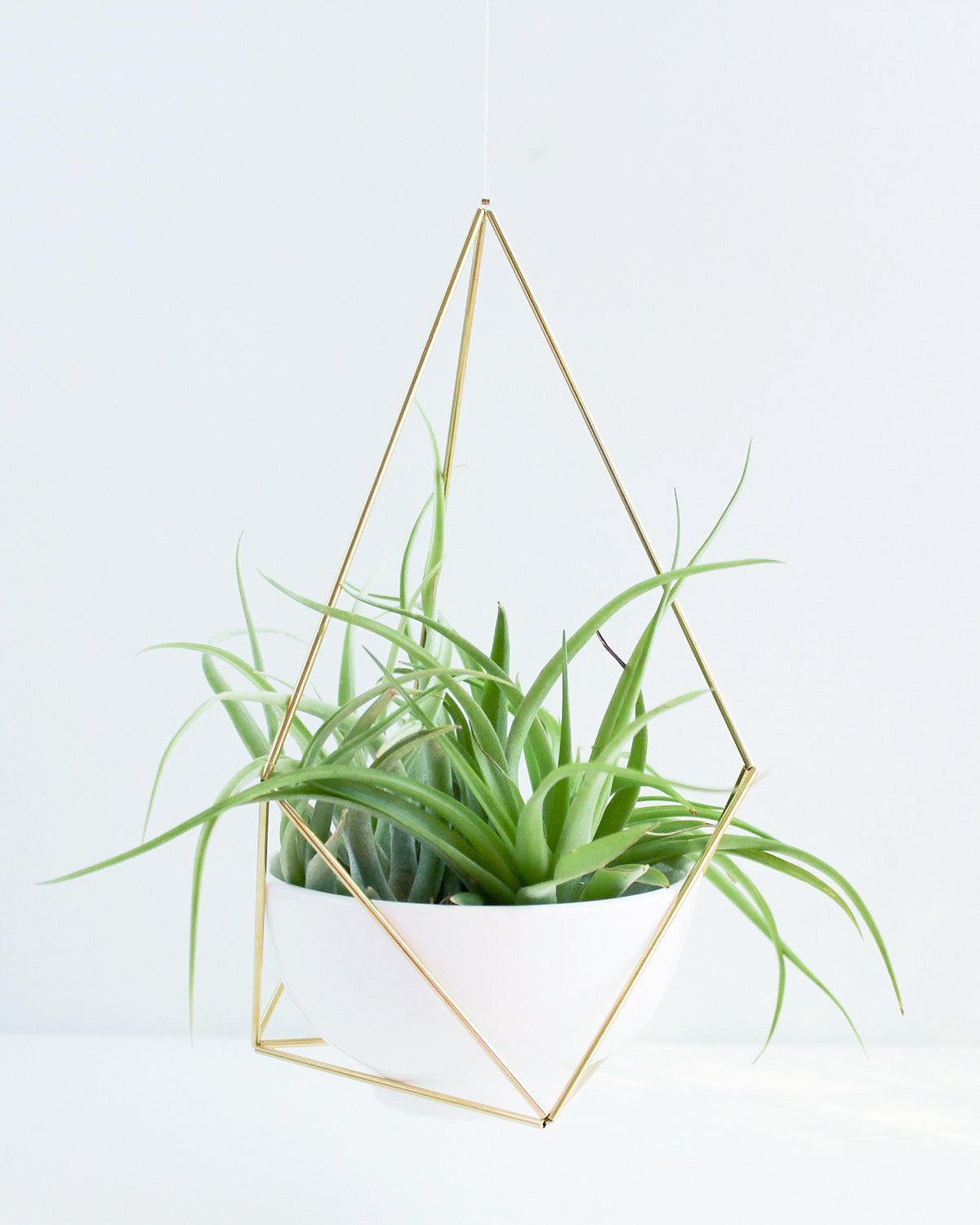 minimal plant hanger Minimal Geometric Brass Air Plant Hanger – Hesby