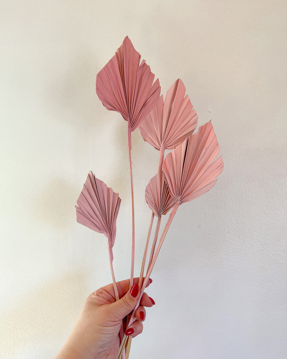 Blush Pink Mini Dried Palm Spears