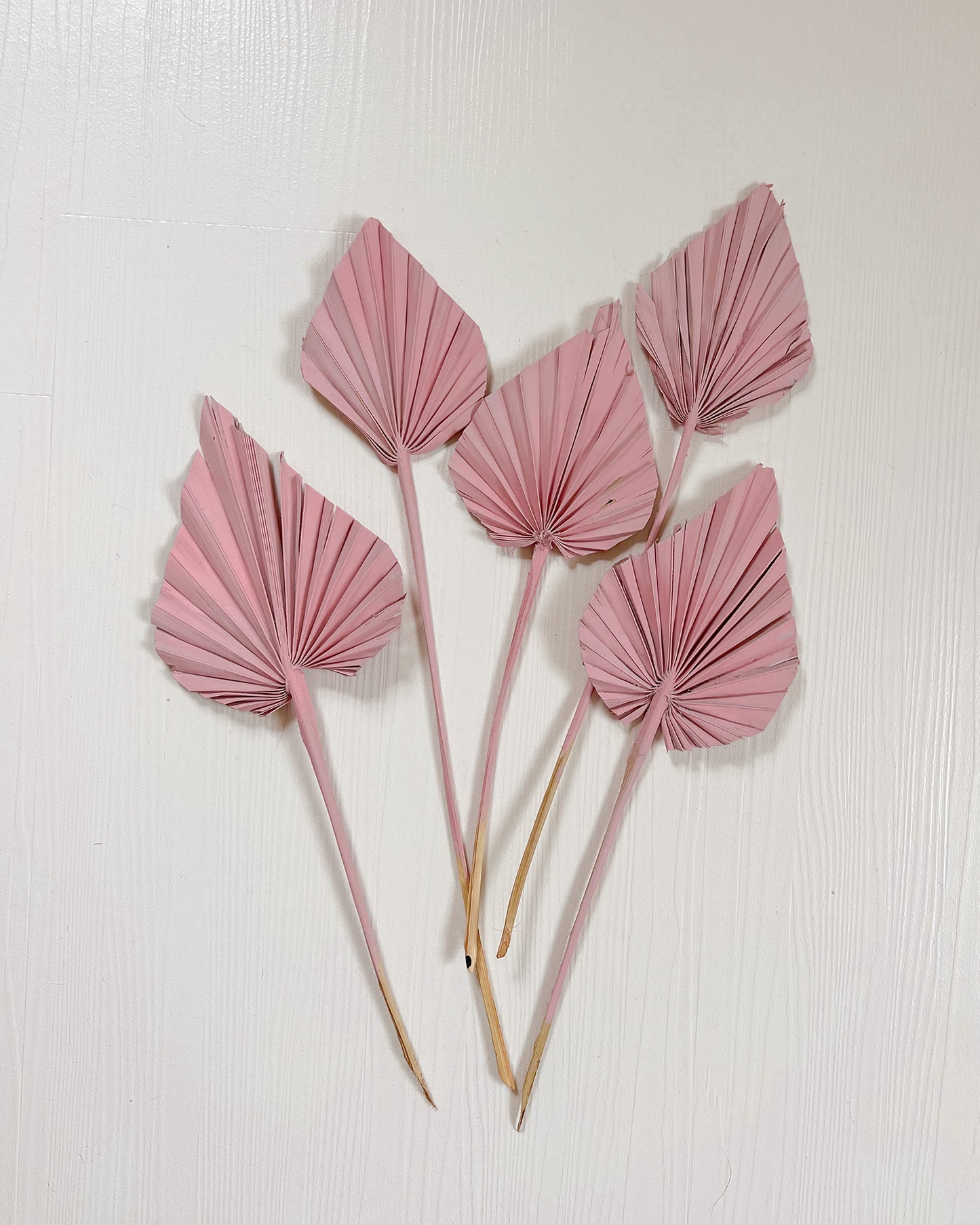 Blush Pink Dried Palm Spears