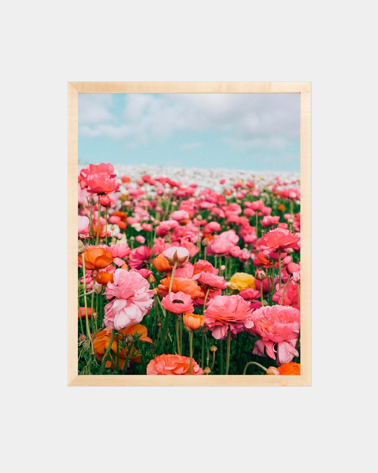 Flower Fields Forever Print