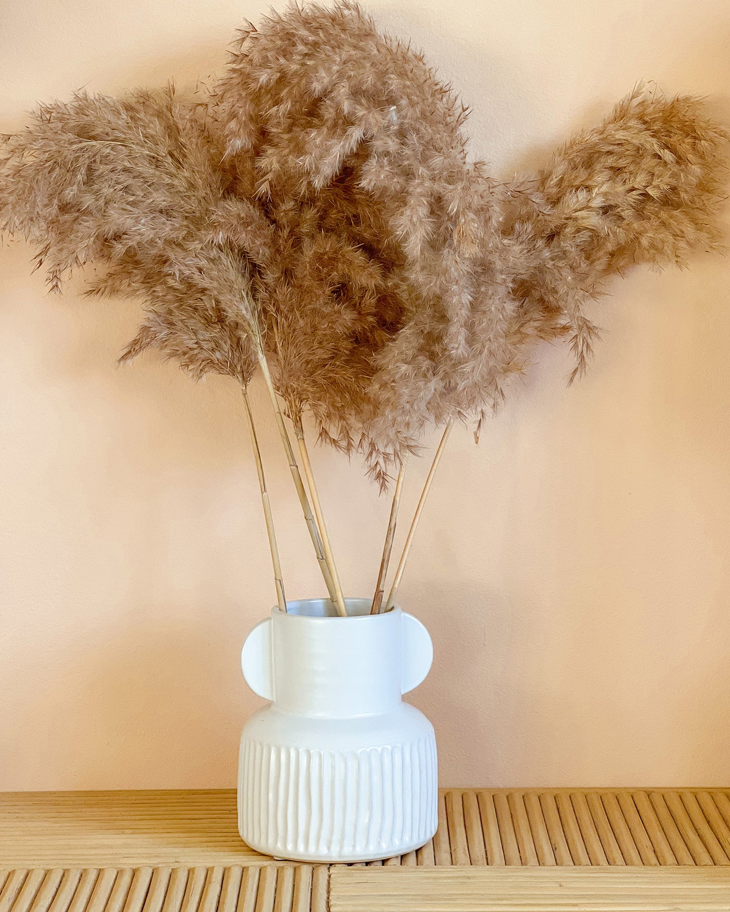 Fluffy Brown Pampas Grass