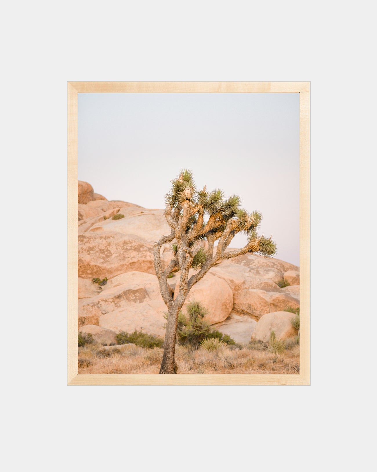 Yucca Desert Print