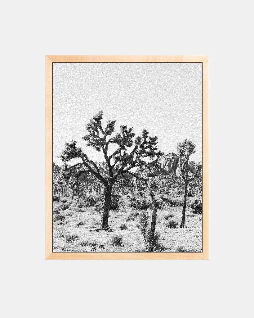 Joshua Tree Print