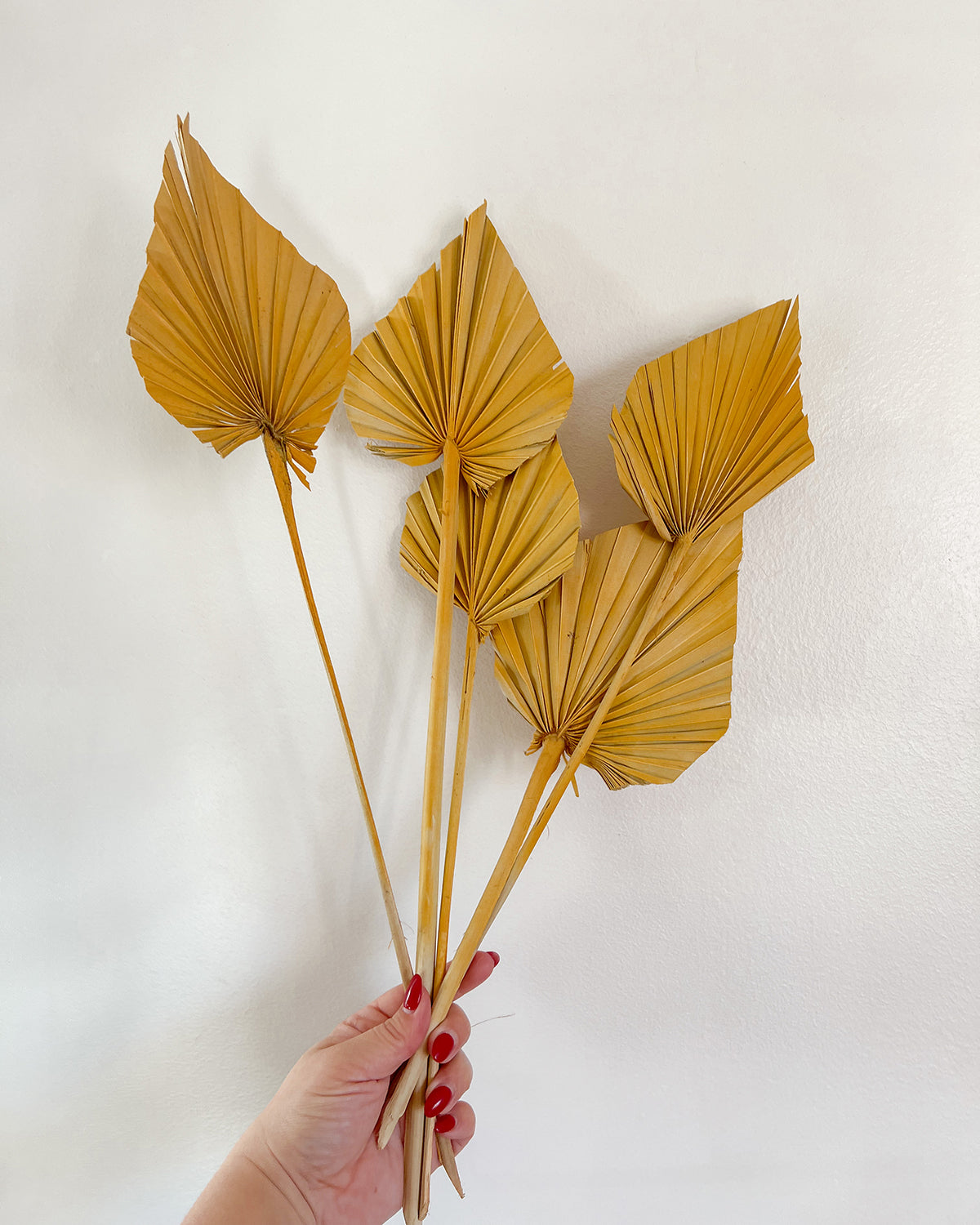 Mustard Yellow Dried Palm Spears