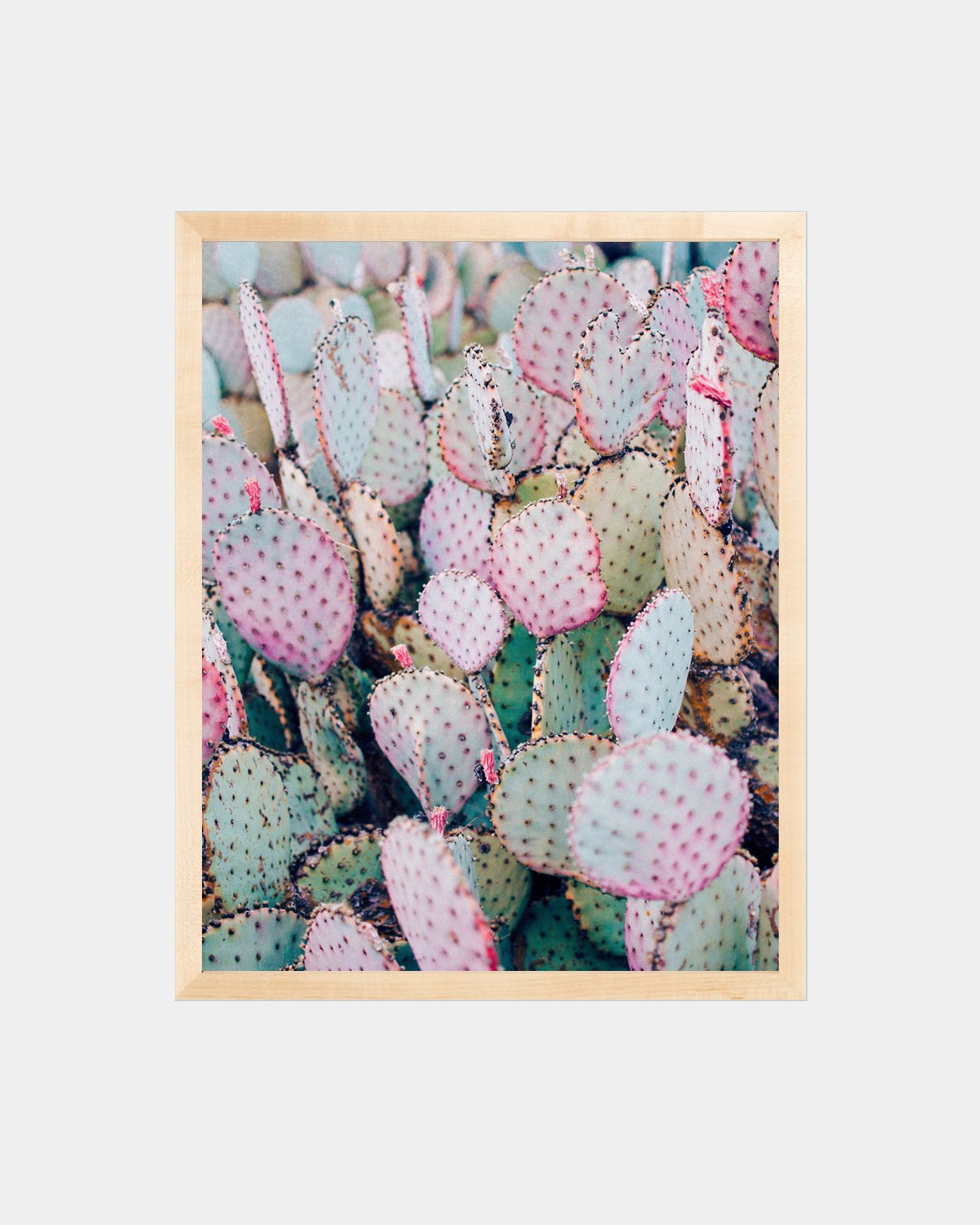 Pastel Cactus Print