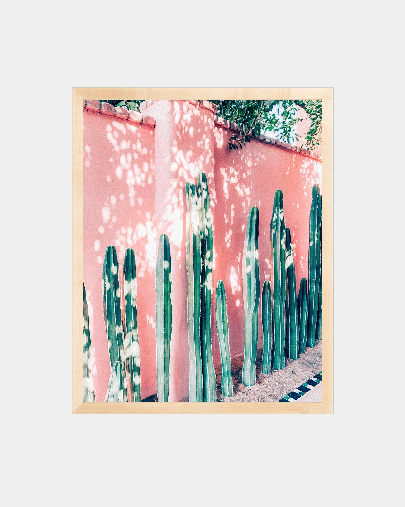 Pink Cactus Print