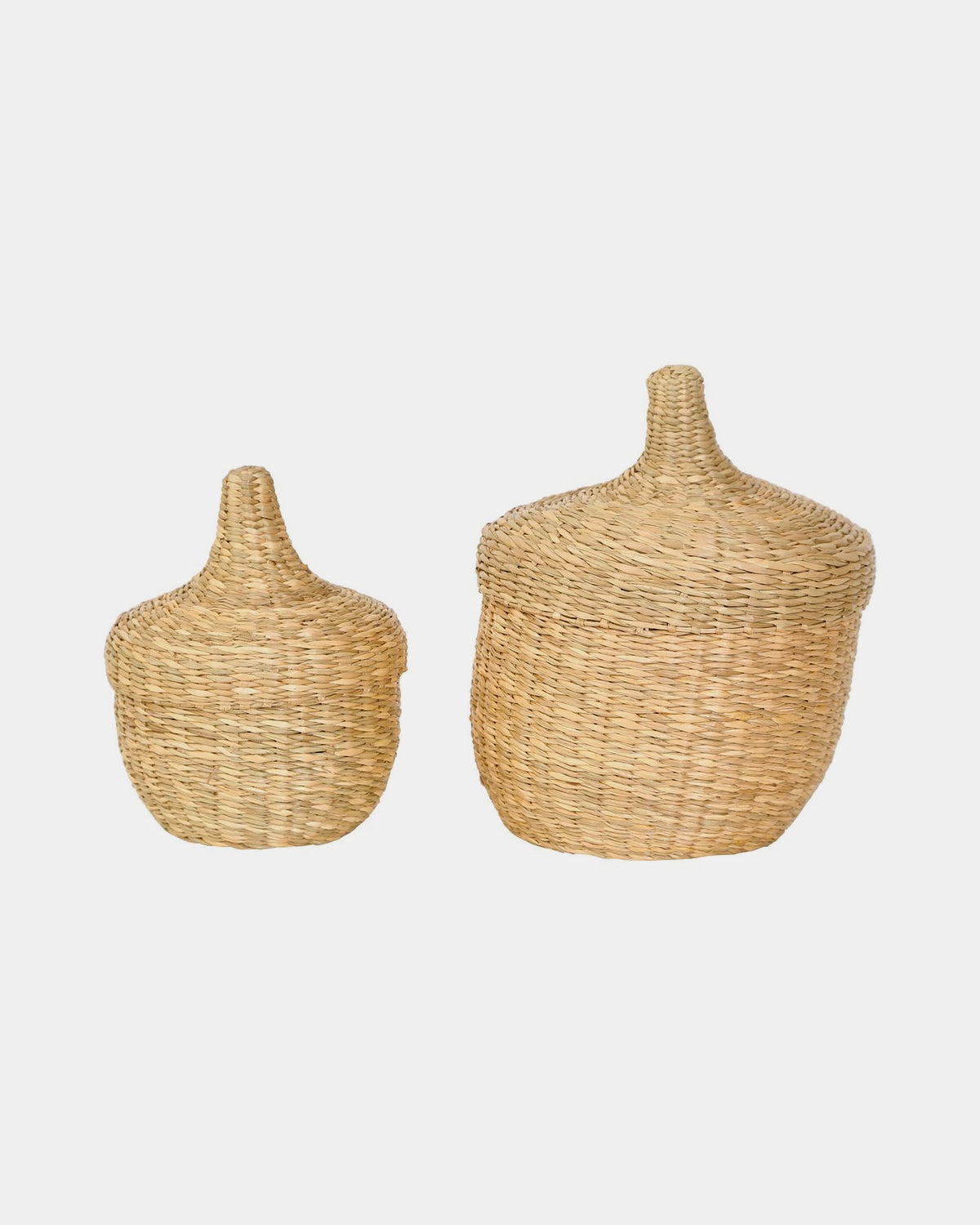 Small Paseo Seagrass Lidded Basket