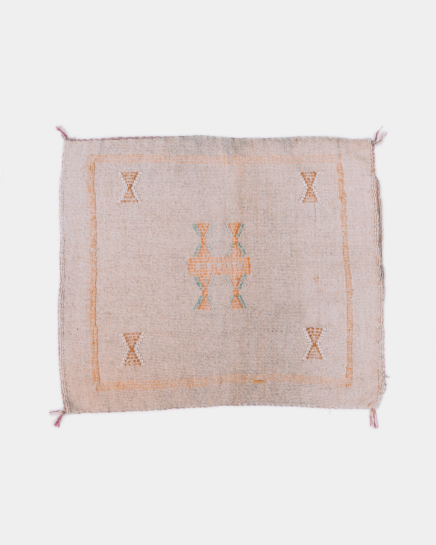 Grey Cactus Silk Pillow