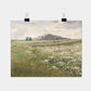 "Fields with Wild Poppies" Art Print