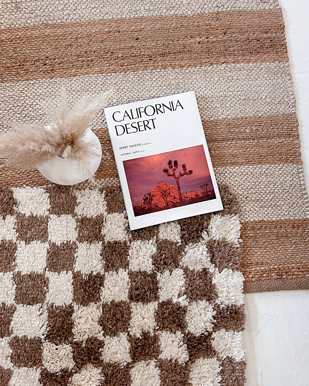 Brown Checkerboard Shag Rug