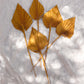 Burnt Orange Dried Palm Spears