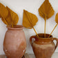 Burnt Orange Dried Palm Spears