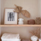 Natural Dried Palm Fan Spears