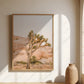 Yucca Desert Print