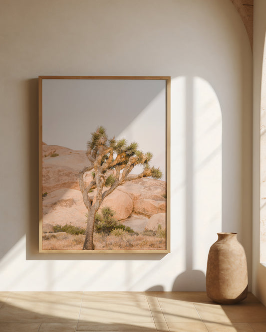 Yucca Desert Print