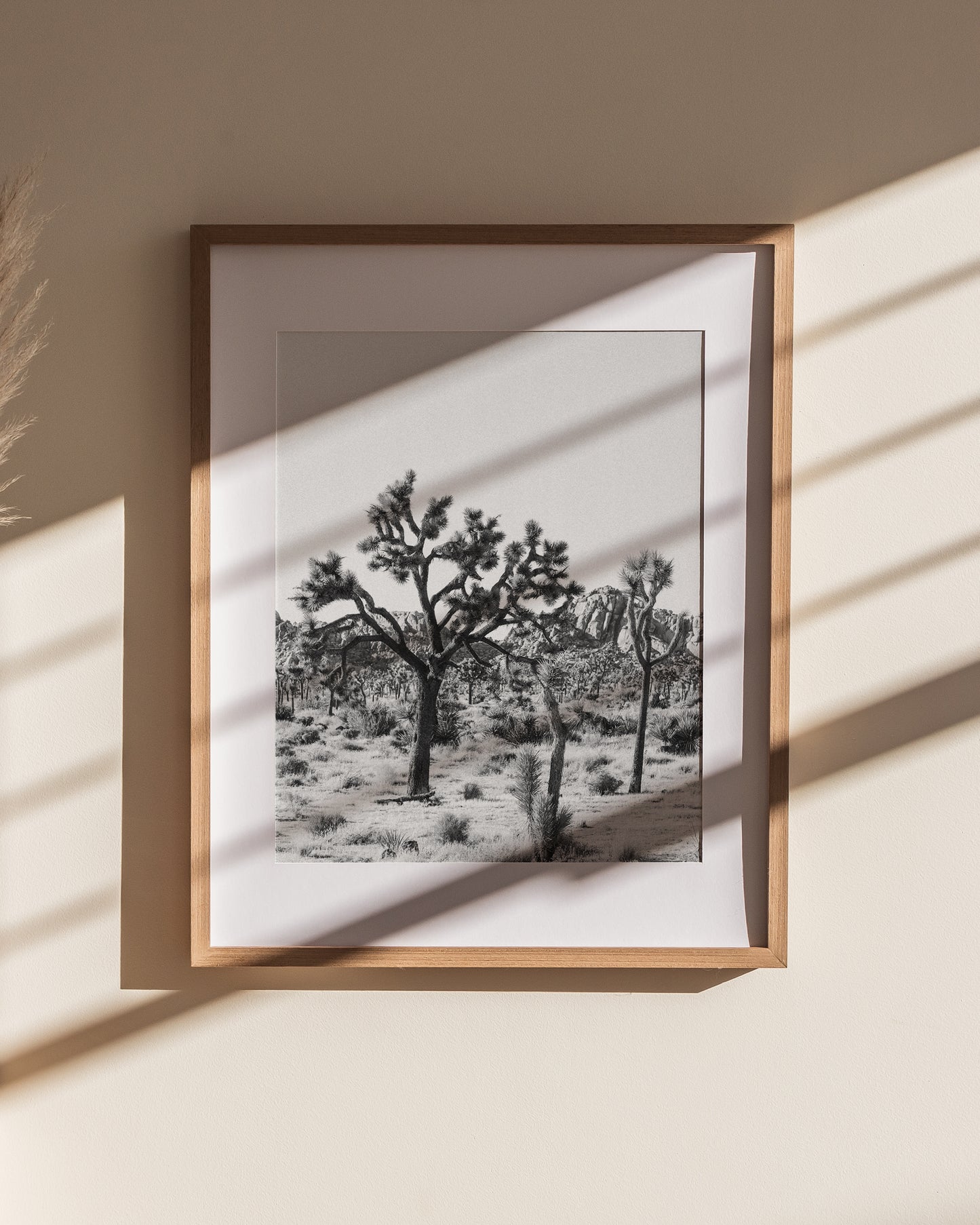 Joshua Tree Print