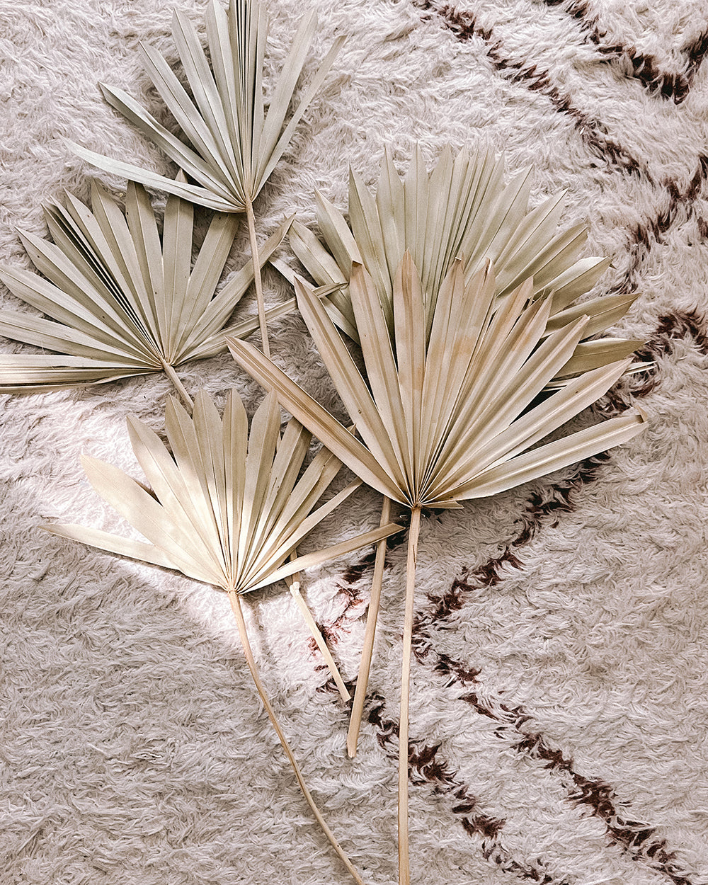 Natural Dried Palm Fan Spears