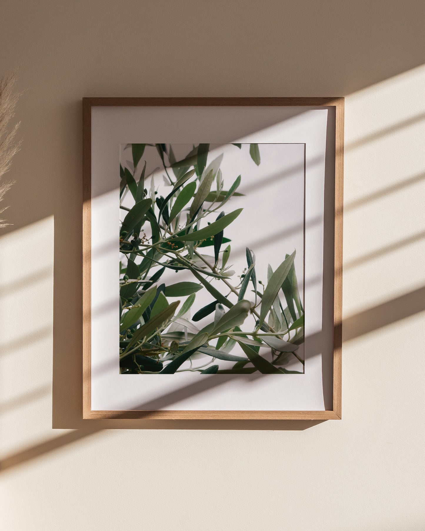 Olive Branch Print