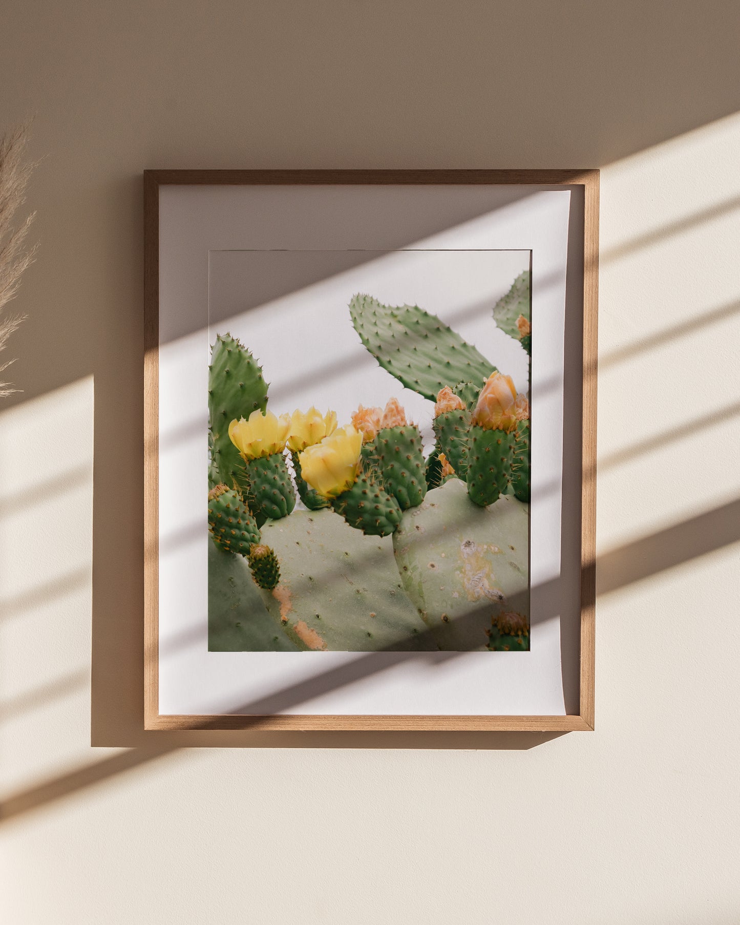 Prickly Pear Print