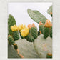 Prickly Pear Print Hesby