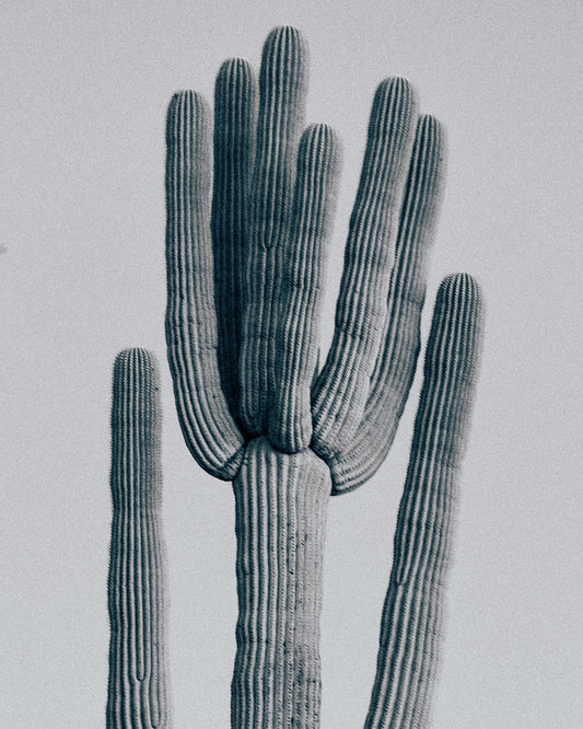 Saguaro Print #2
