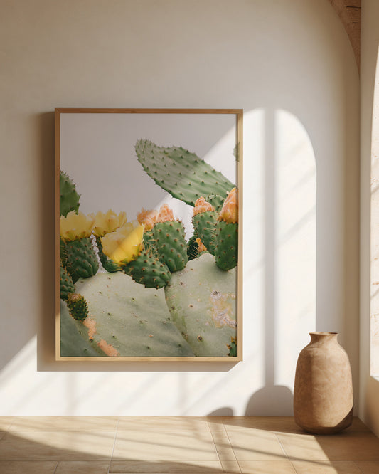 Prickly Pear Print