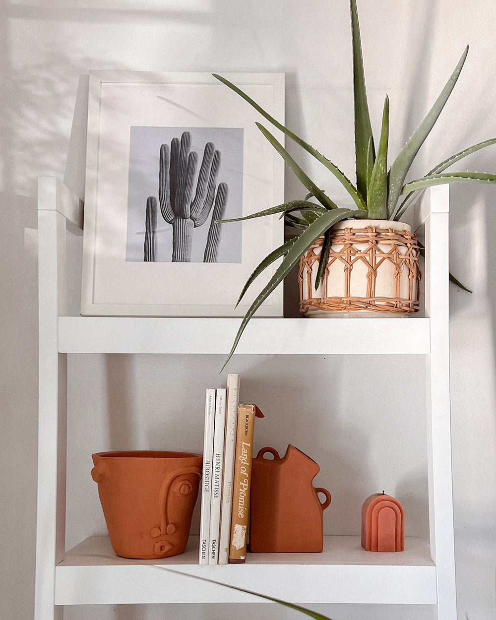 Terracotta Face Planter