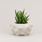 White Volcano Mini Plant Pot