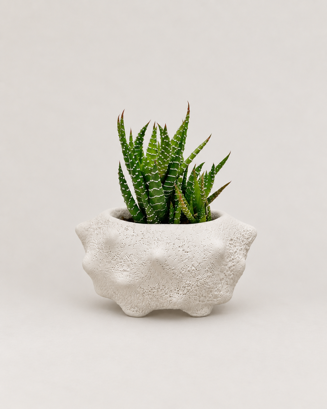 White Volcano Mini Plant Pot