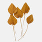Burnt Orange Dried Palm Spears