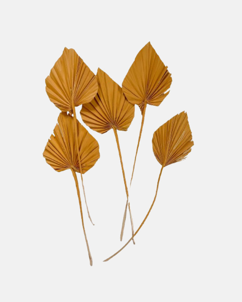 Burnt Orange Dried Palm Spears