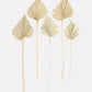 Tall Natural Dried Palm Spears