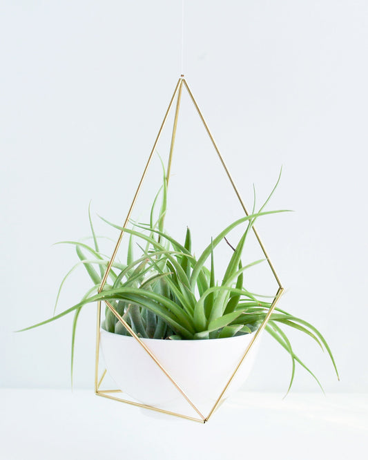 Geometric Brass Plant Hanger - Hesby