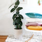 Mustard Velvet Pillow - Hesby