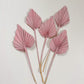 Blush Pink Dried Palm Spears