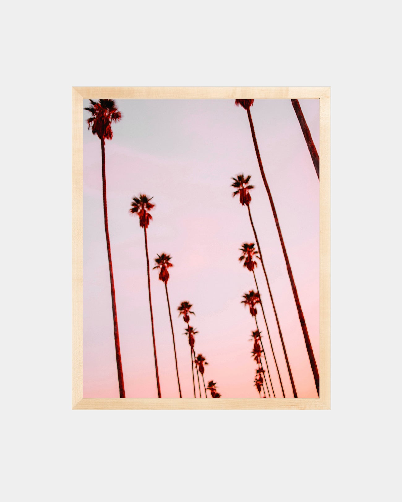 Blurred Palms Print