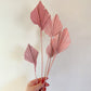 Blush Pink Dried Palm Spears