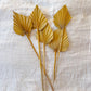 Mustard Yellow Dried Palm Spears