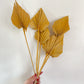 Mustard Yellow Dried Palm Spears