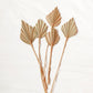 Natural Mini Dried Palm Spears