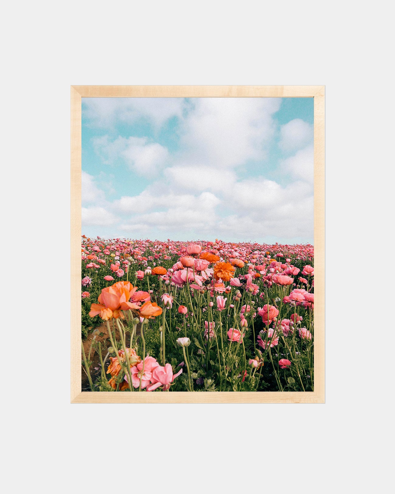 Peach Florals Print