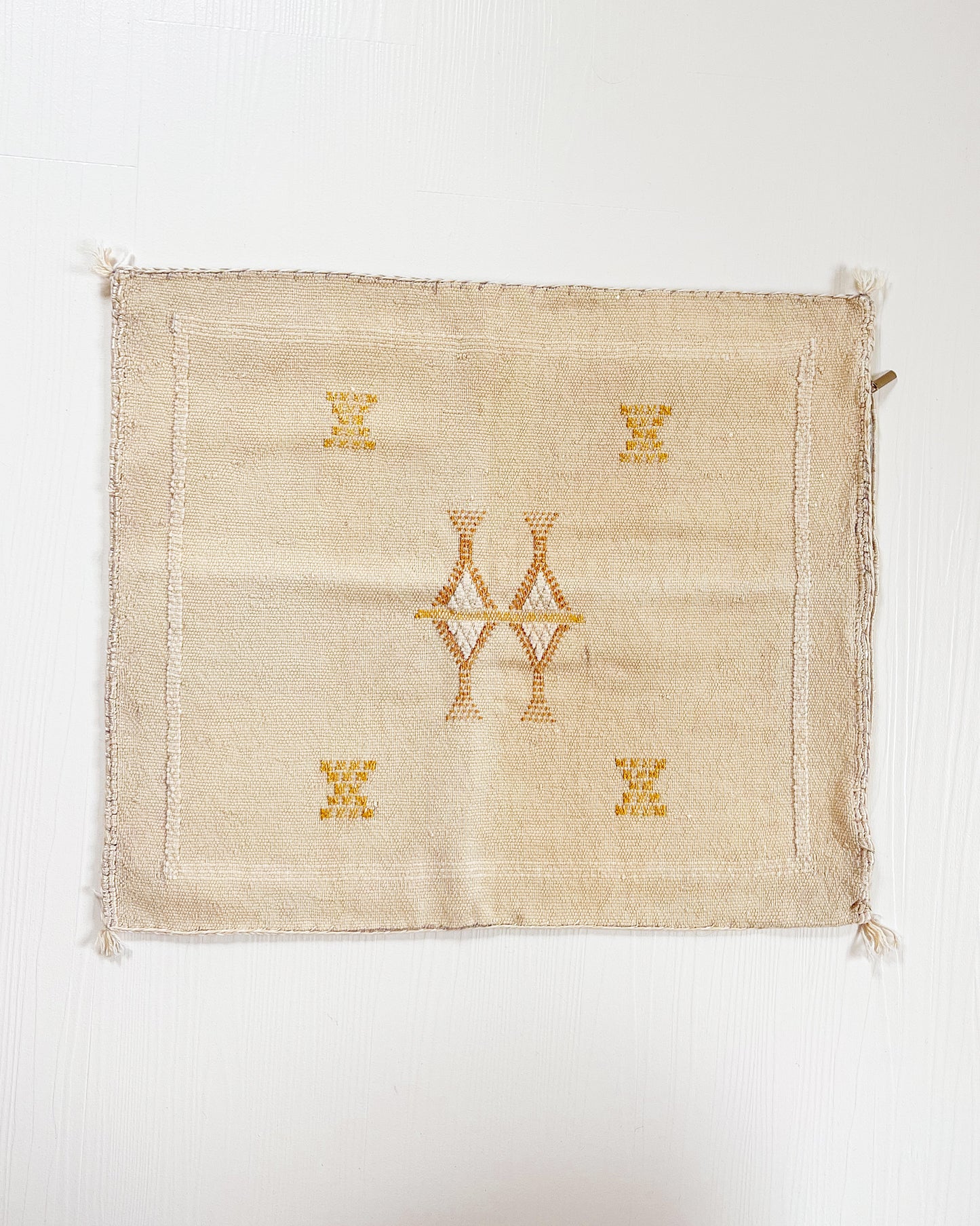 Palo Beige Cactus Silk Pillow