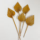 Mustard Yellow Dried Palm Spears